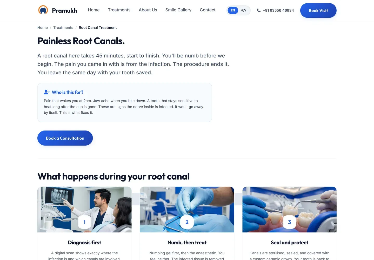 The root canal treatment page, headed Painless Root Canals, with a plain-language explanation and a Who is this for box describing symptoms.